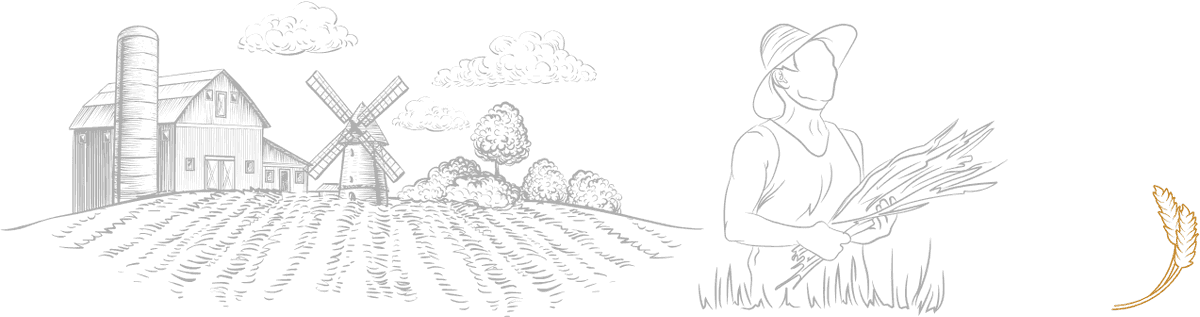 Farming illustration decoration